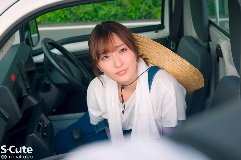 sqte00504jp-5